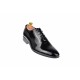 Pantofi de gala barbati, eleganti, din piele naturala, SCORPION, 024CEURI