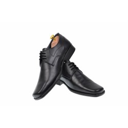 Pantofi barbati eleganti din piele naturala, cu siret 1002N