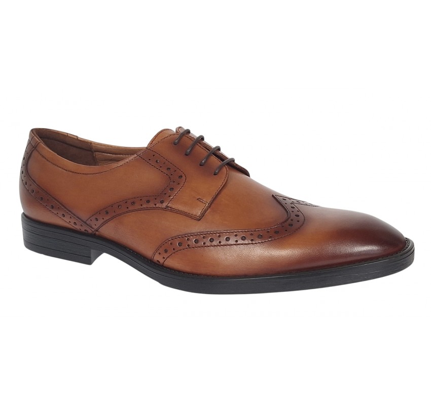 Pantofi barbati eleganti din piele naturala maro Lucas Shoes - 500CON