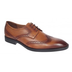 Pantofi barbati eleganti din piele naturala maro Lucas Shoes - 500CON