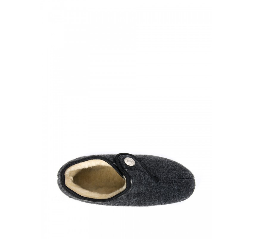 Pâslari TELLUS 60-83