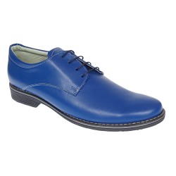 Pantofi barbati casual din piele naturala, Albastru 859AL