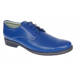 Marimea 40 Pantofi barbati casual din piele naturala, Albastru 859AL