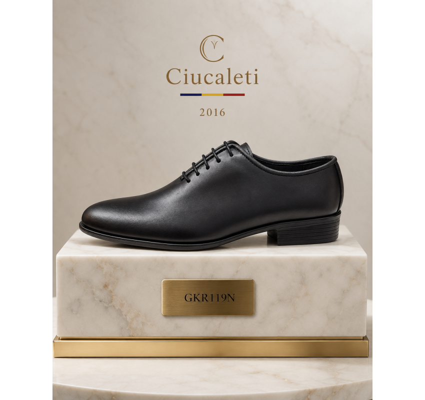 Pantofi barbati eleganti din piele naturala de culoare neagra GKR119N