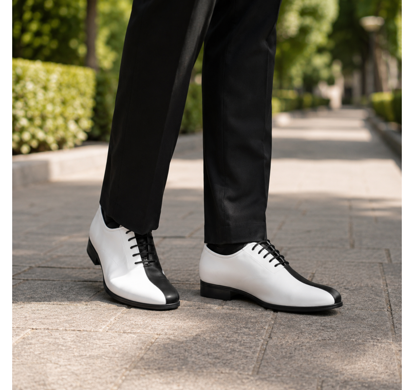 Pantofi barbati de ceremonie din piele naturala in doua culori Ciucaleti GKR137AN