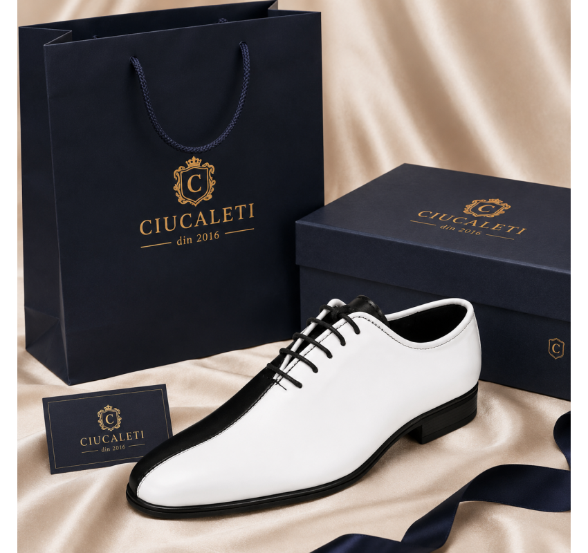 Pantofi barbati de ceremonie din piele naturala in doua culori Ciucaleti GKR137AN