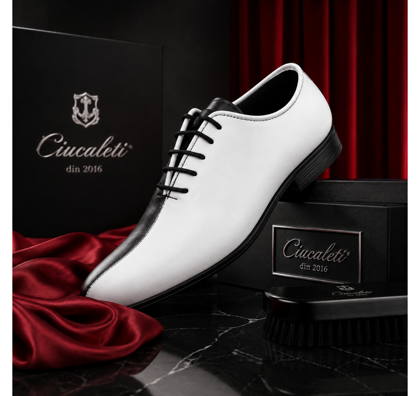 Pantofi barbati de ceremonie din piele naturala in doua culori Ciucaleti GKR137AN