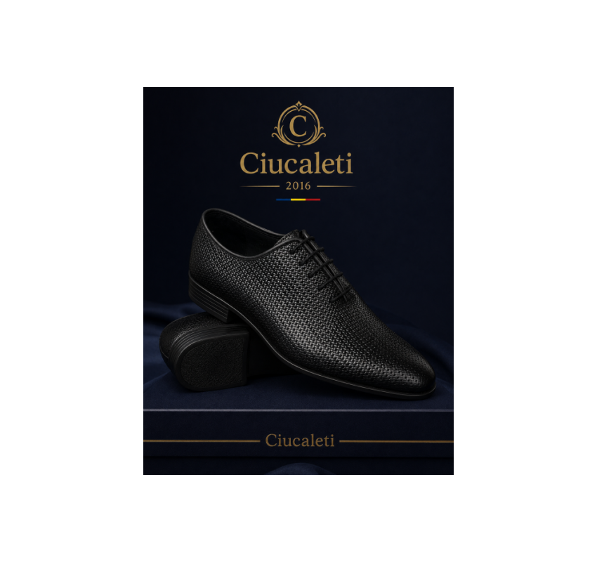 Marimea 40, 43 Pantofi barbati eleganti din piele naturala matritata LSTD120TXN