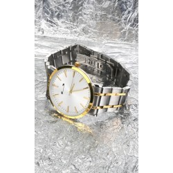 Ceas de mana barbati elegant, Argintiu/Auriu Matteo Ferari - MF10027SILVERGA