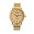 Ceas dama Matteo Ferari casual-elegant, Gold - MF174GDGOLD