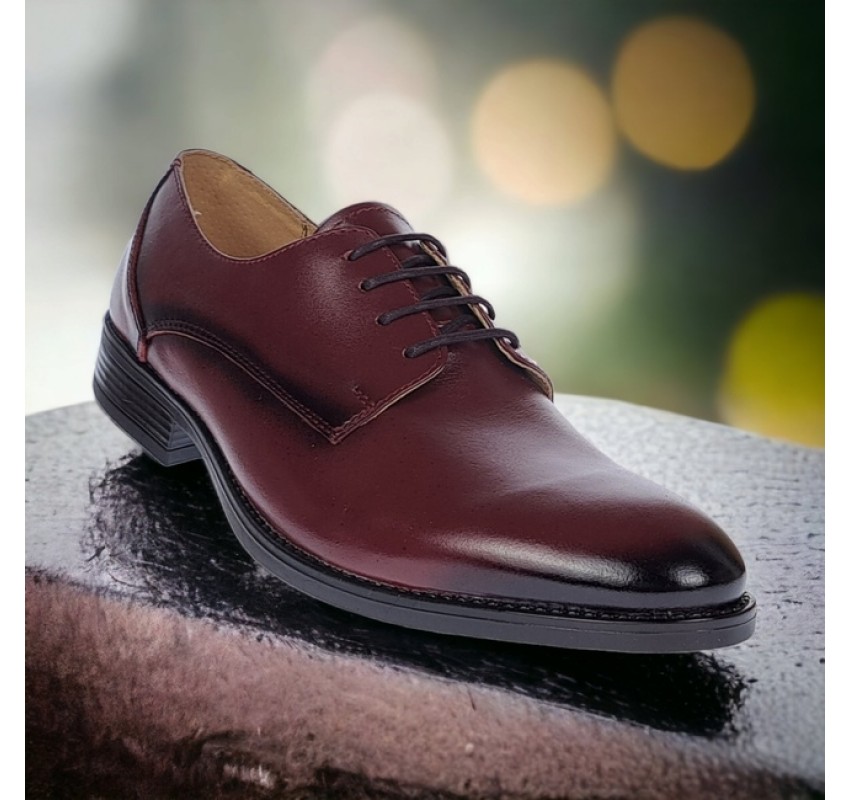 Pantofi barbati, eleganti, piele naturala, Bordeaux, ALEXANDER 990VIS