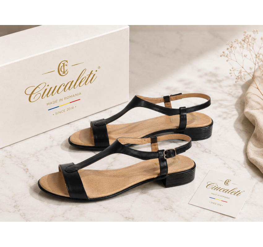 Sandale dama negre din piele naturala cu bareta T si toc mic S16NBOX2