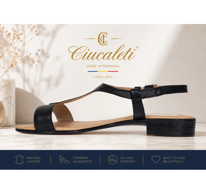 Sandale dama negre din piele naturala cu bareta T si toc mic S16NBOX2