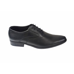 Pantofi eleganti barbati din piele naturala Stefi Negru box